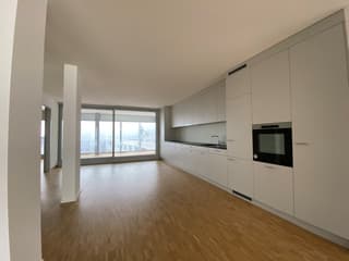Moderne Wohnung mit offener Küche (3)