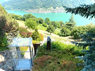 Vivere nel verde con tanta privacy e vista spettacolare a pochi passi da Lugano (3)