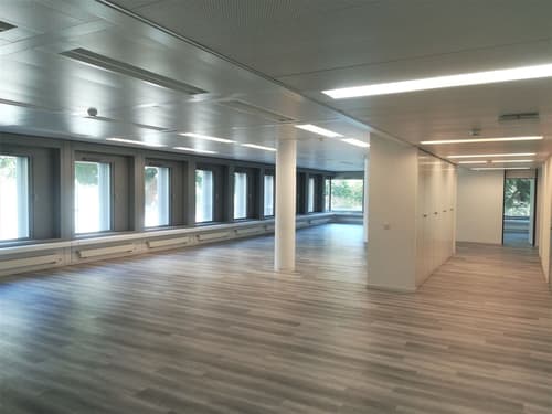 A louer, bureaux de 250 m2 lumineux, immeuble moderne, Lausanne