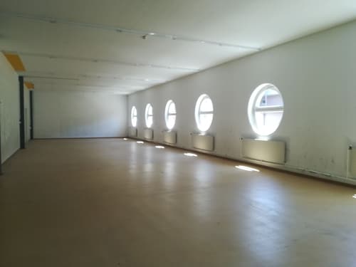 Atelier, stockage, dépôt de 689 m2 avec quai de chargement à louer à Lausanne