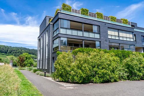 Ein moderner Wohntraum mit sonniger Terrasse