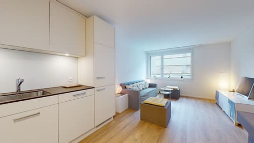Frisch renovierte 2-Zimmerwohnung mitten in der Stadt Luzern