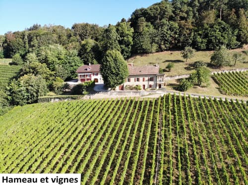 Hameau de trois maisons avec vignoble et vue imprenable sur le Léman et les Alpes