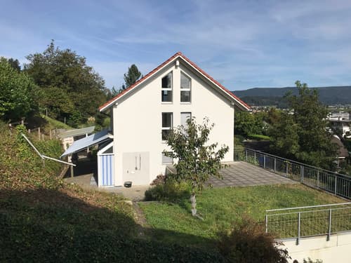 Einfamilienhaus in Spreitenbach (1)