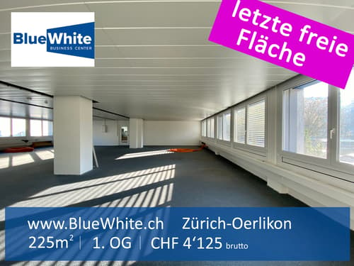 Viel Raum für Ihr Business - mitten in Zürich-Oerlikon (1)