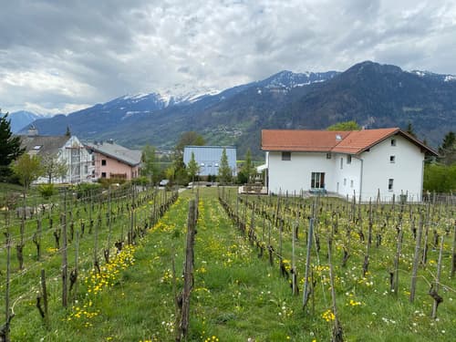 Malans, das Weinbauerndorf in der Bündner Herrschaft (1)