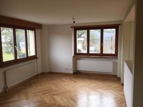 5.5 Zi-Maisonette-Whg, 128 m2 ruhiger Lage, Balkon, Sitzplatz, Röschenz (1)