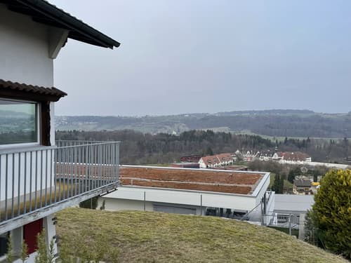 Zweifamilienhaus mit traumhaftes Panormablick in Hermetschwil-Staffeln (1)