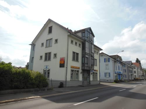 5 - Familienhaus mit Bar/Pub in Beinwil am See (1)
