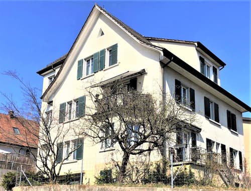 Freistehendes 3-Familienhaus (1)