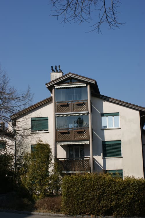 Duplex-/Maisonette-Wohnung in Schaffhausen (1)