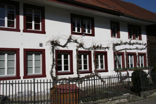 Historisches Flarzhaus im alten Dorfkern von Winterthur-Hegi (1)