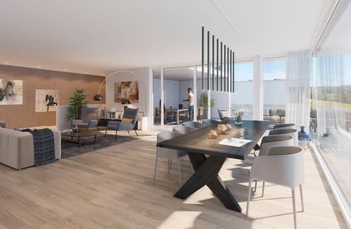 Wohnung & Haus kaufen in 8260 (Stein am Rhein) | homegate.ch