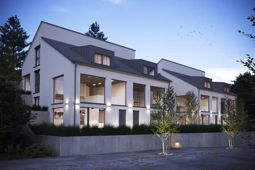 Doppeleinfamilienhaus in Dornach (1)