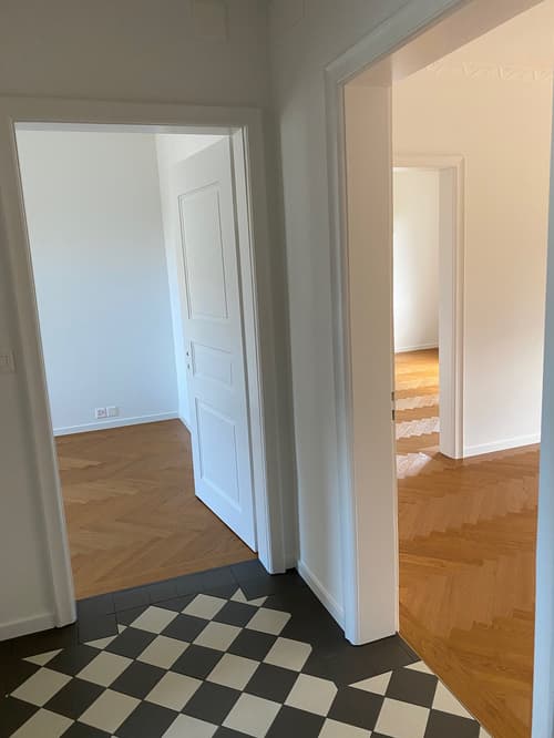 4-Zimmer Wohnung in Zürich / Erstbezug nach einer stilvollen Renovation (1)