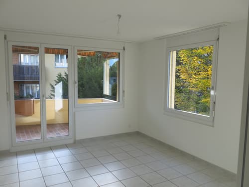Frisch renovierte 3,5 Zimmer-Wohnung in Winterthur-Seen (1)