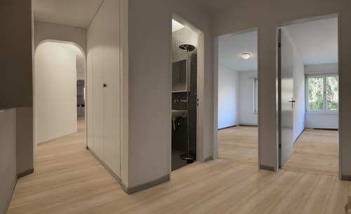 4-Zimmer Eigentumswohnung, Waldrand-Lage mit Aufwertungspotential, Zürich-Rehalp, Nähe Kliniken (1)
