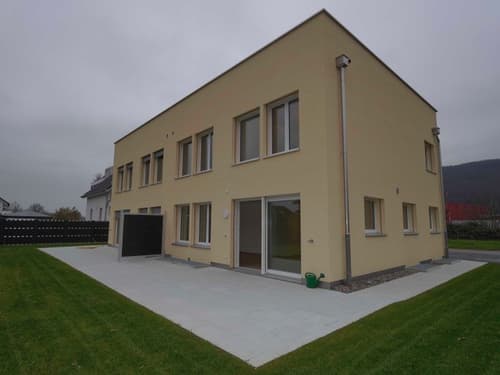 Schönes, neues Doppeleinfamilienhaus in Rothrist (1)