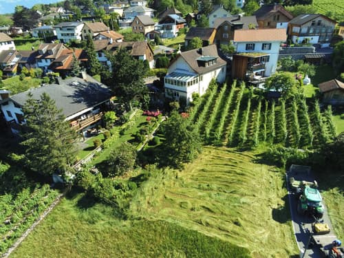 Mehrfamilienhaus mit traumhafter Aussicht ins Rheintal (1)
