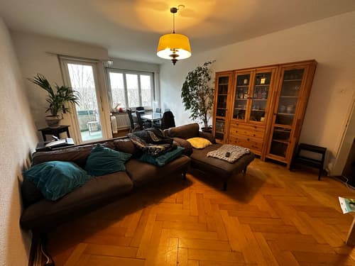 Sonnige, zentral gelegene Wohnung in Bern (1)