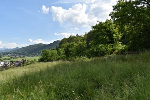 Grundstück mit gigantischem Weitblick über das Obere Rheintal, Liechtenstein + nach Vorarlberg