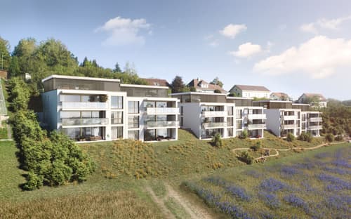 Neubauprojekt Alpenblick, Niederwangen - Ihr Zuhause mit Fernsicht