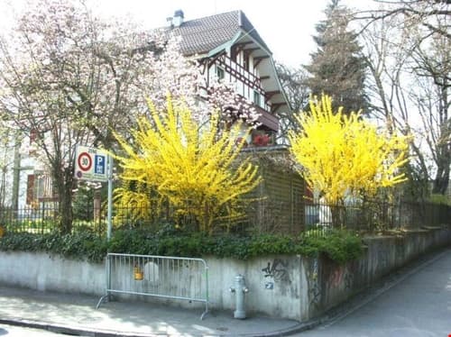 Idyllisch, luxuriös eingerichtet in Bern