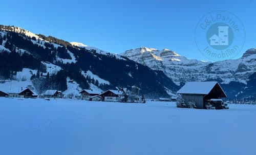Traumhaftes Skigebiet "Adelboden/Lenk"