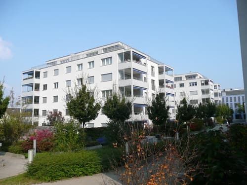Modernes Wohnen in der Nähe des Zürichsees (1)