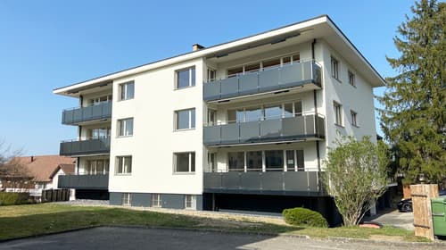 Zu verkaufen modern renovierte 5.5-Zimmerwohnung in Büttikon (1)