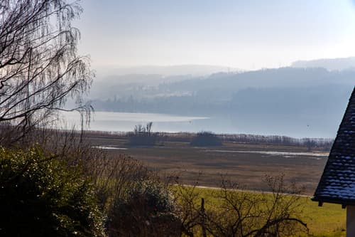 Wohnbauland mit Sicht auf den Greifensee