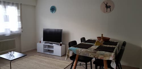 Fully Furnished 2.5 Room Apartment in the heart of Lucerne (NO 12)