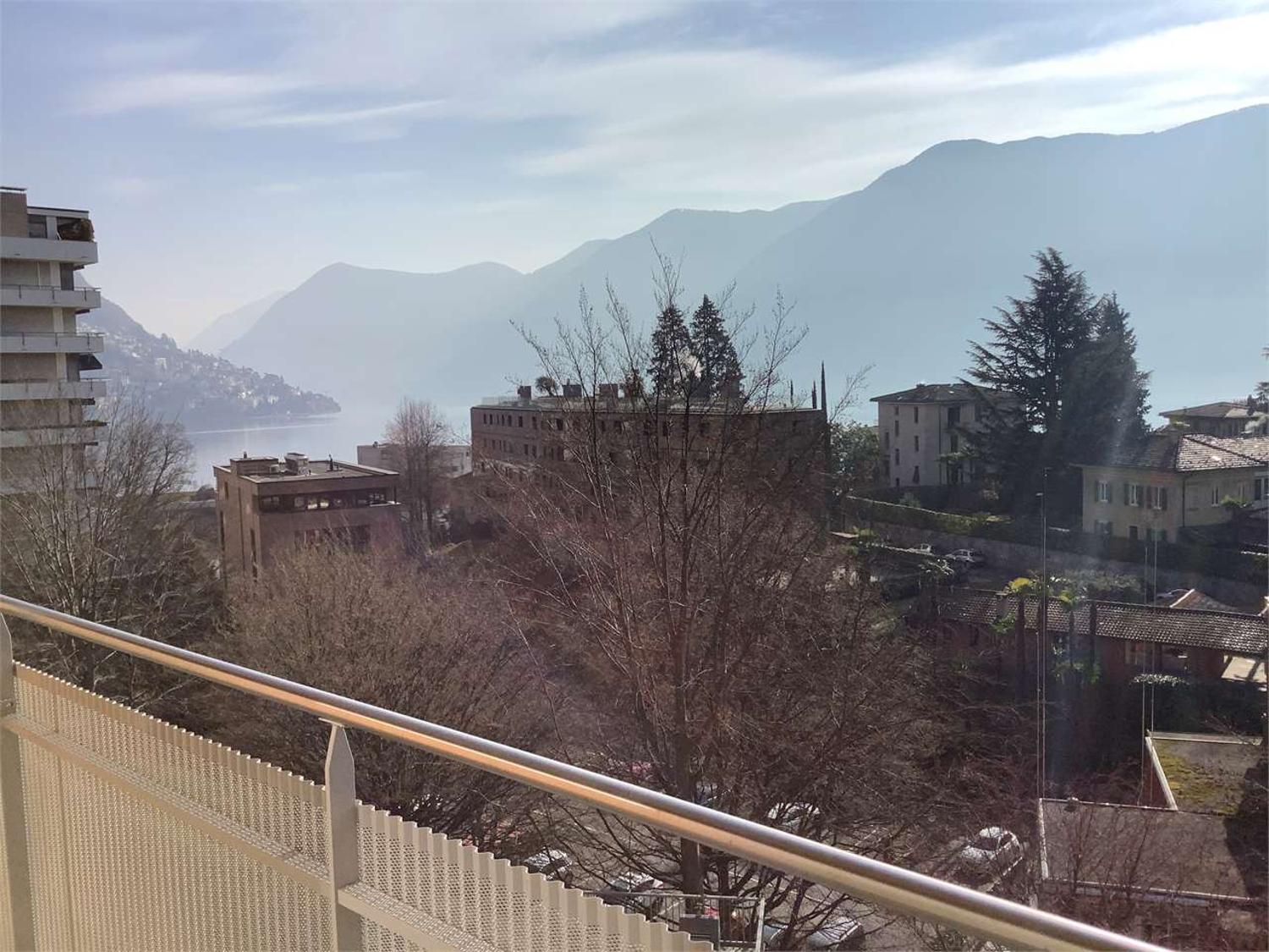 Affitto 3.5 locali ristrutturato arredato