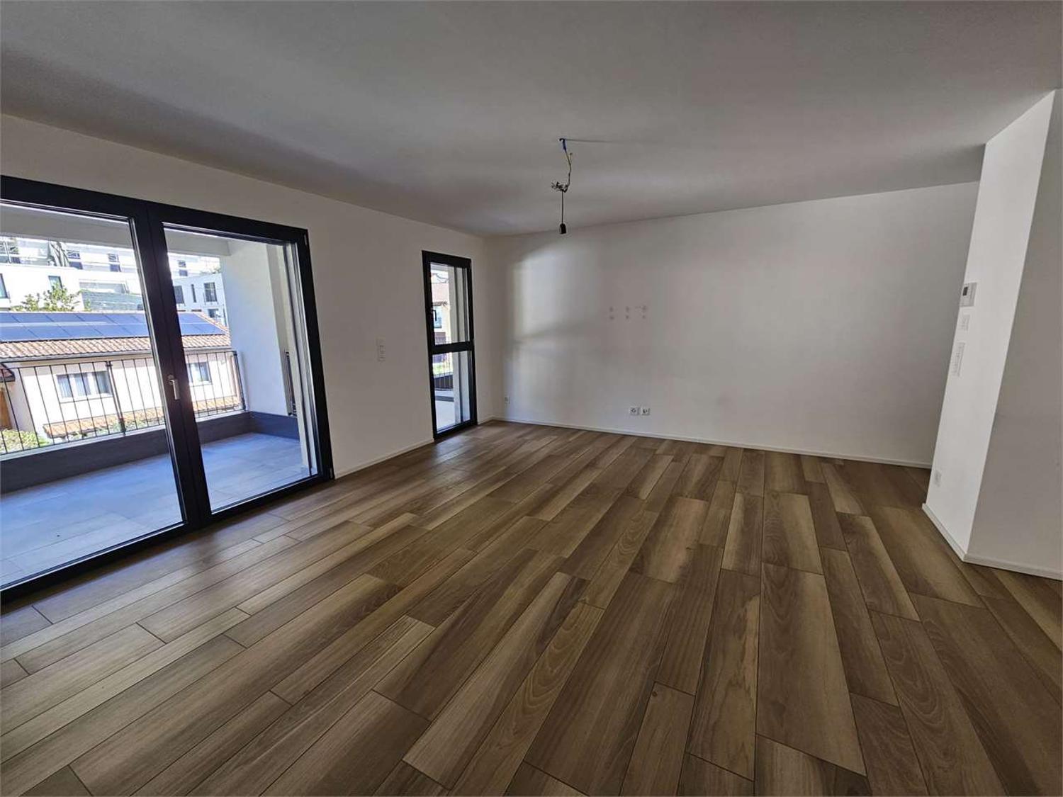Gudo, affitto 2.5 locali con terrazzo