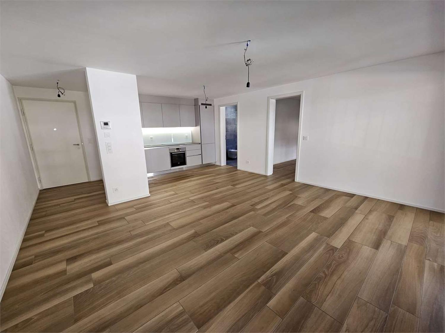 Gudo, affitto 2.5 locali con terrazzo