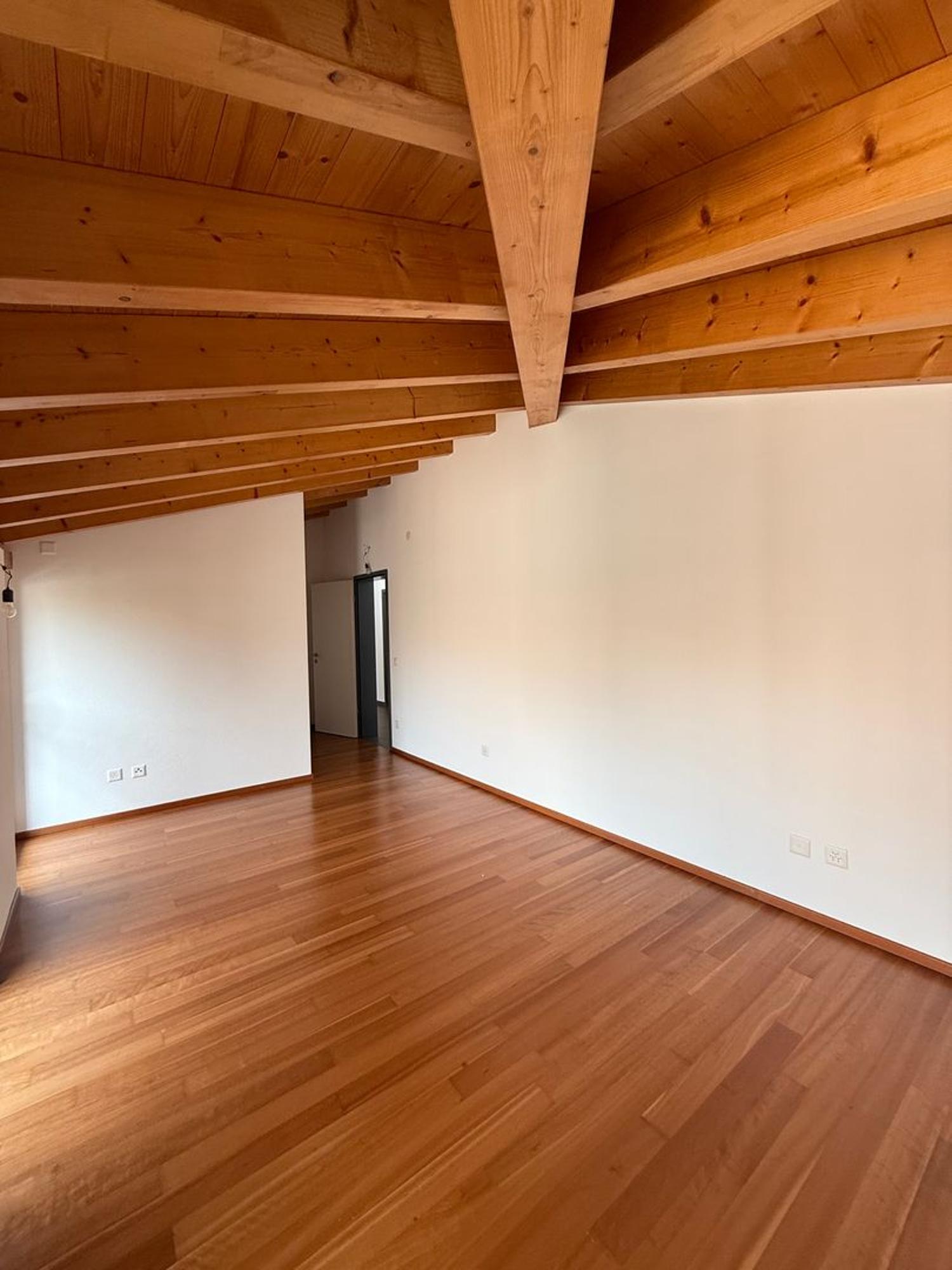 Appartamento attico 4,5 locali immerso nel verde a Cadro