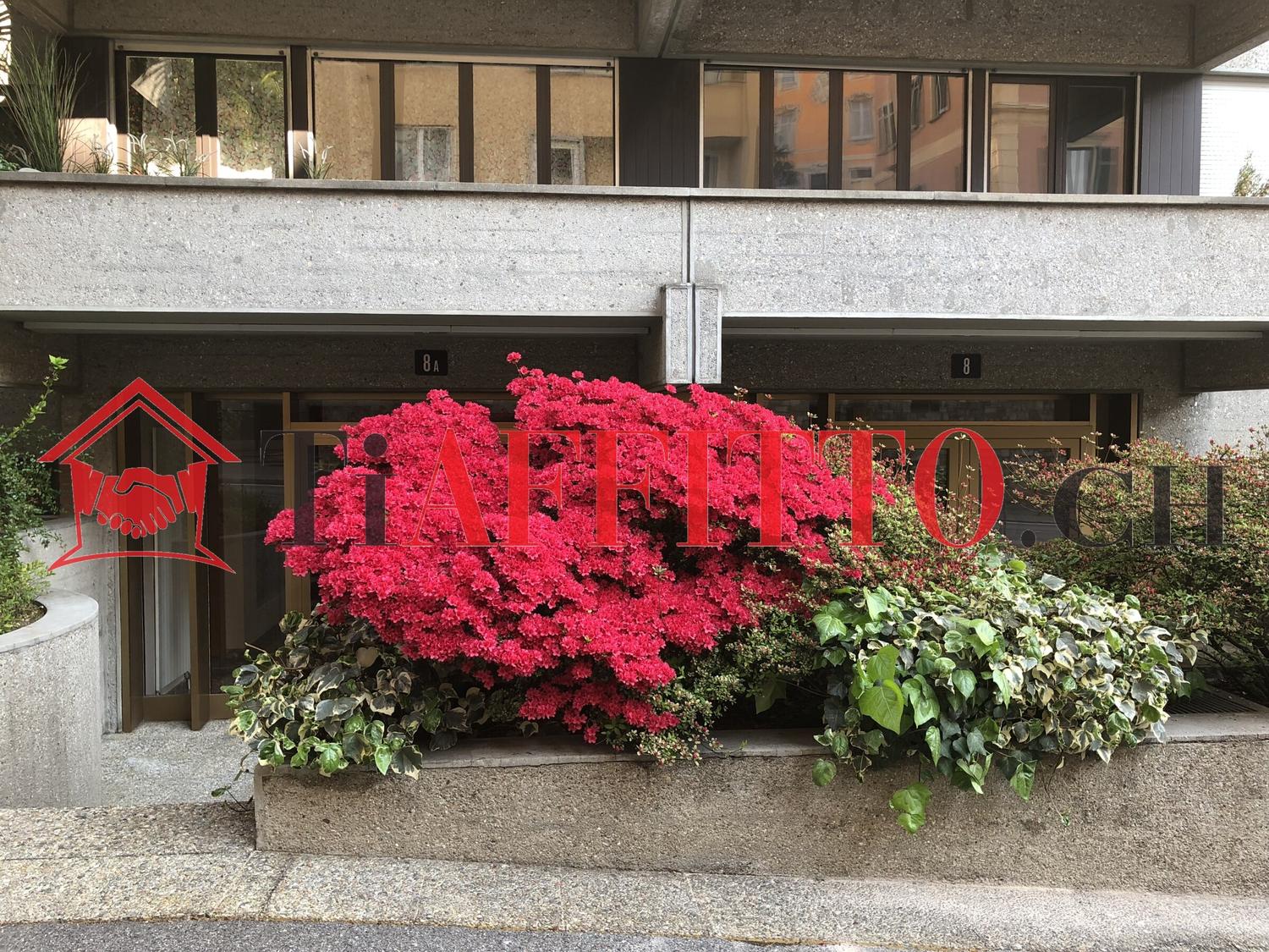 1.5 LOCALI: IL TUO MONOLOCALE DI CHARME NEL CUORE DI LUGANO