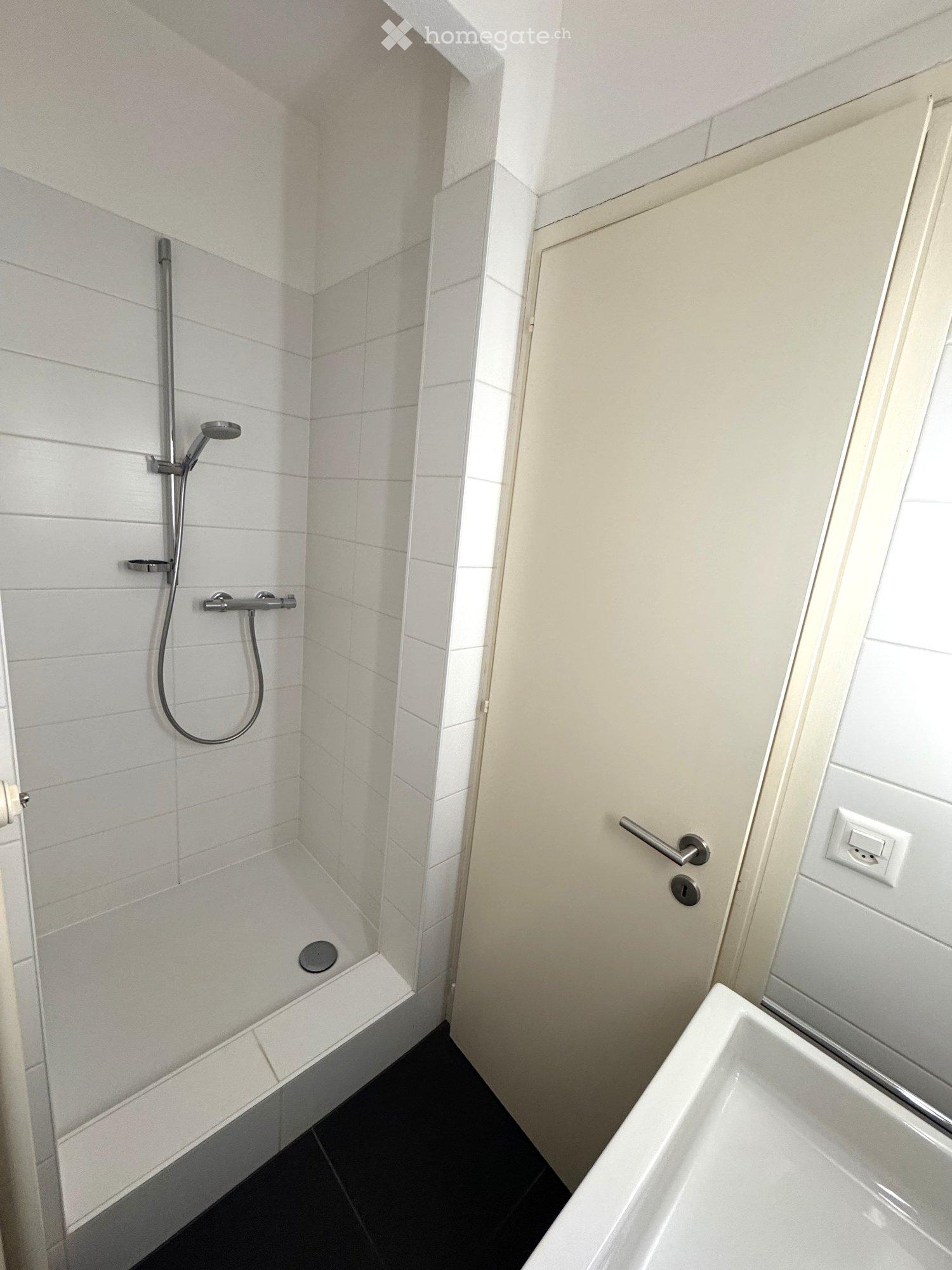 Apartment in Lugano – Besso