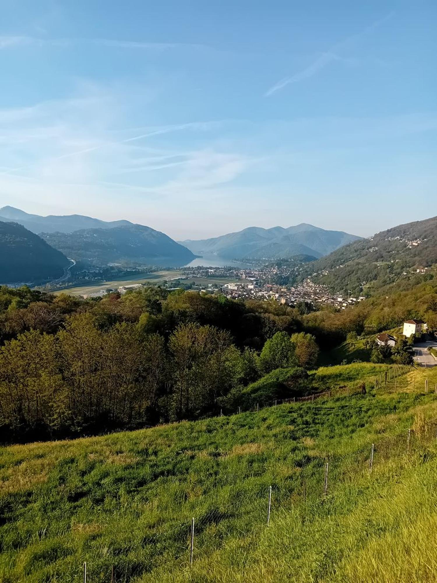 Vivere nel verde con stile – ampio 4.5 locali con giardino