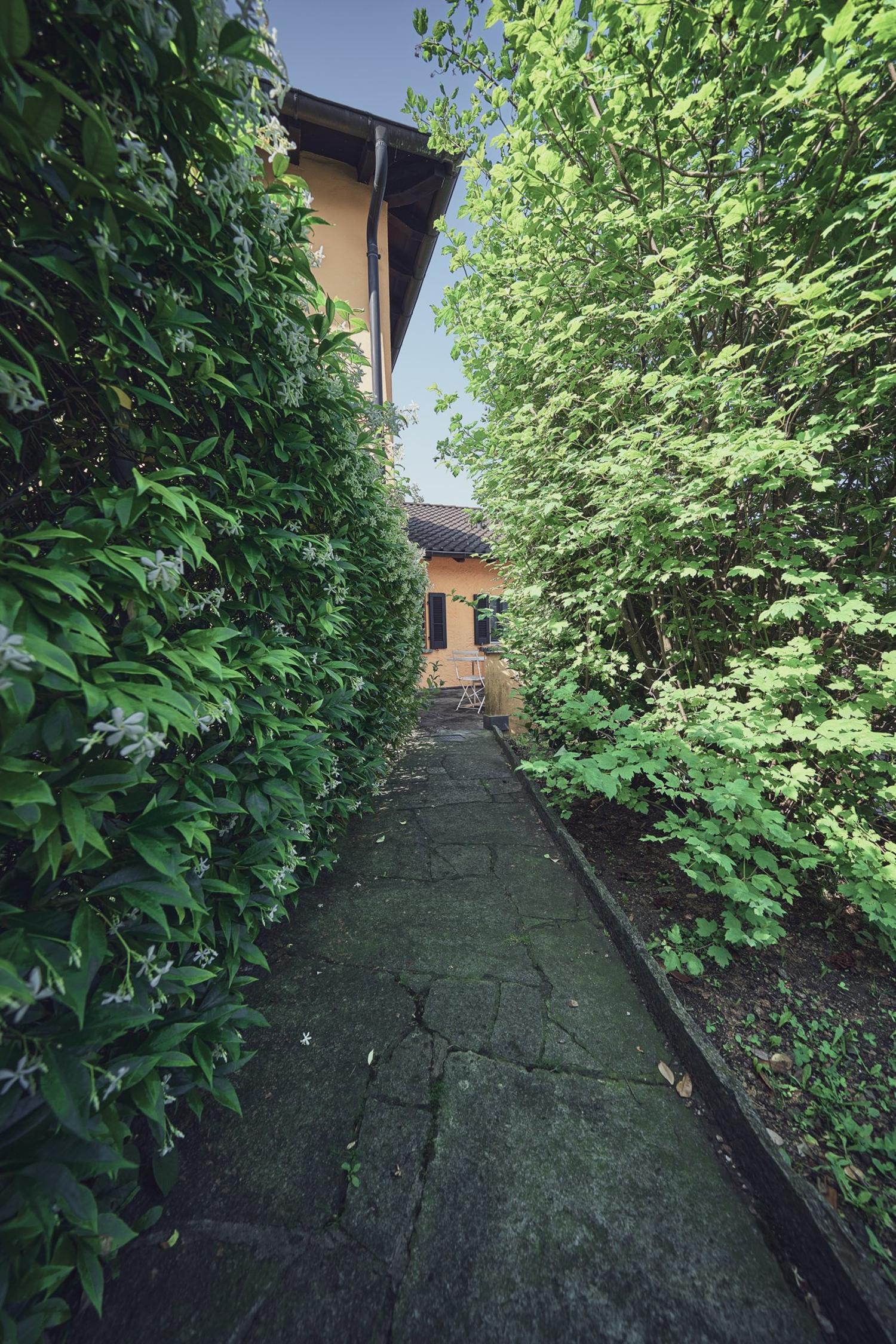 Affittasi grande casa di 11 locali immersa nel verde a Origlio