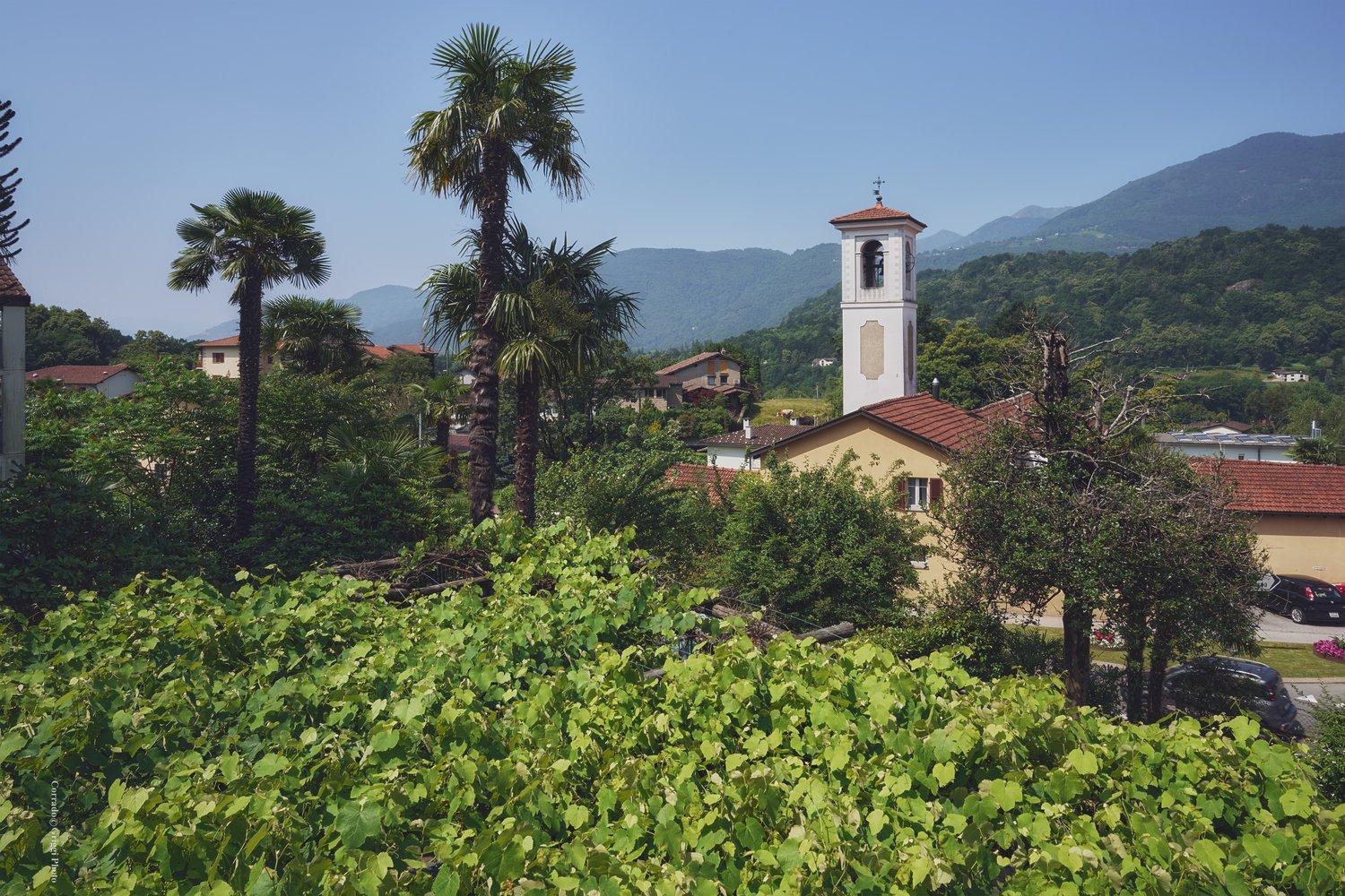 Affittasi grande casa di 11 locali immersa nel verde a Origlio