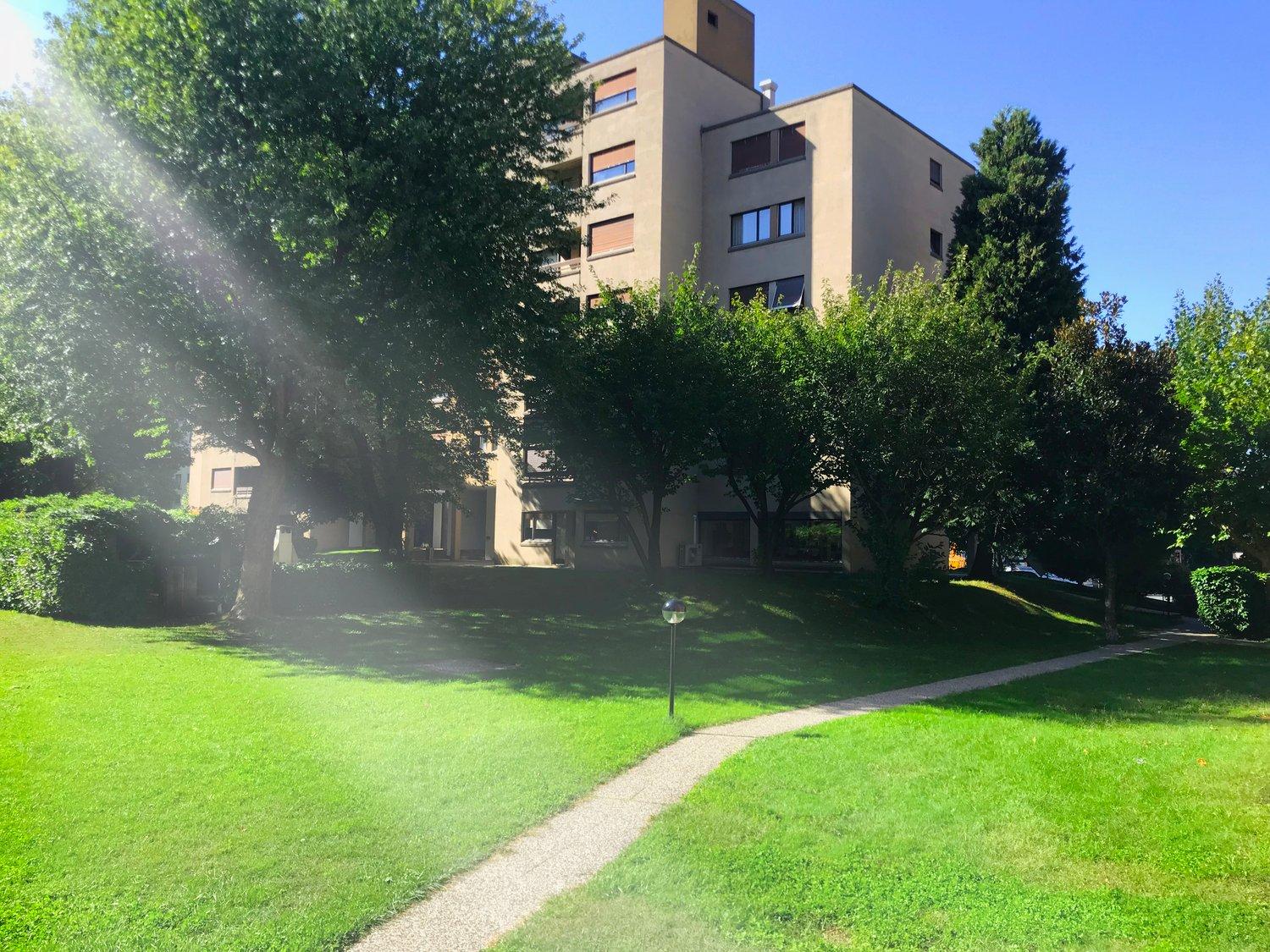 2.5 rinnovato a Giubiasco in zona tranquilla e verde