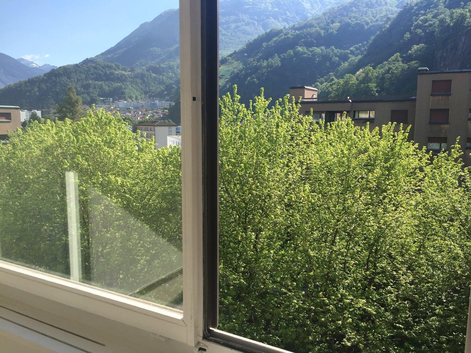 2.5 rinnovato a Giubiasco in zona tranquilla e verde