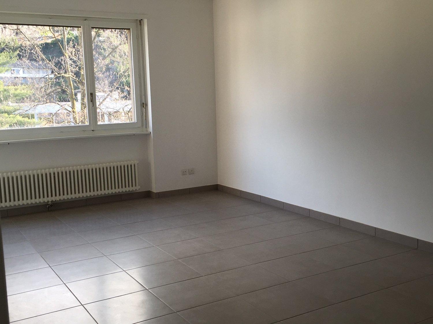 2.5 rinnovato a Giubiasco in zona tranquilla e verde
