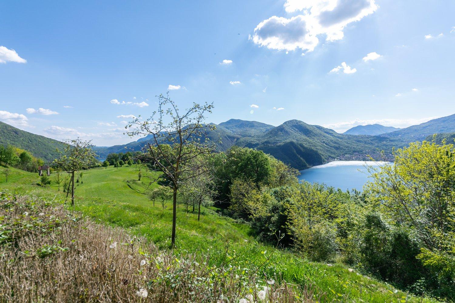 COLLINA D’ORO – AFFITTASI INCANTEVOLE APPARTAMENTO CON GIARDINO PRIVATO E VISTA LAGO (rif. 001)