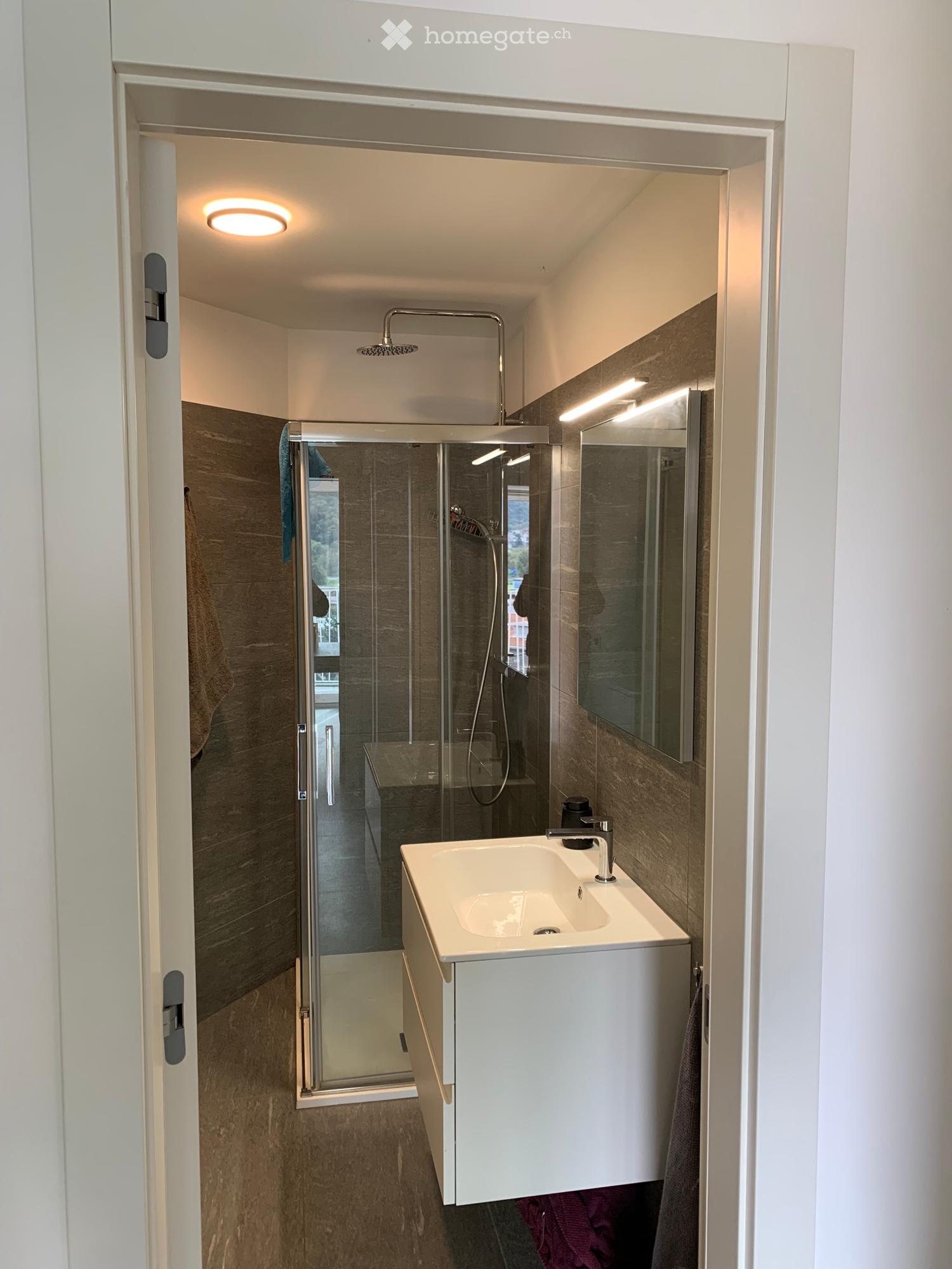Bellissimo duplex 3.5 a Lumino (1 mese offerto)
