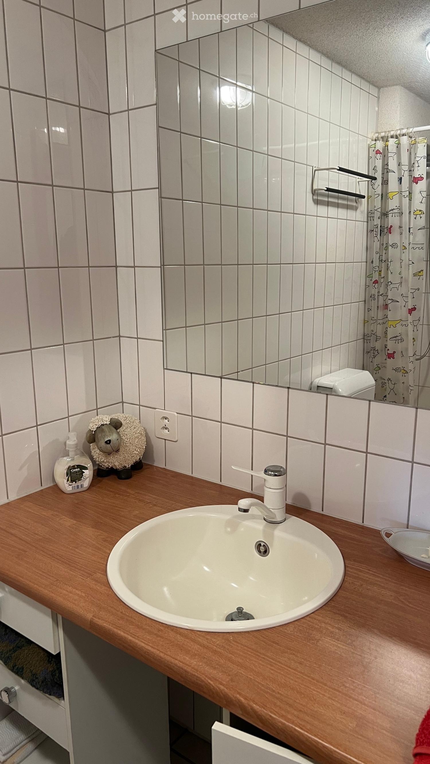 1.5 Ferienwohnung direkt an der Skipiste