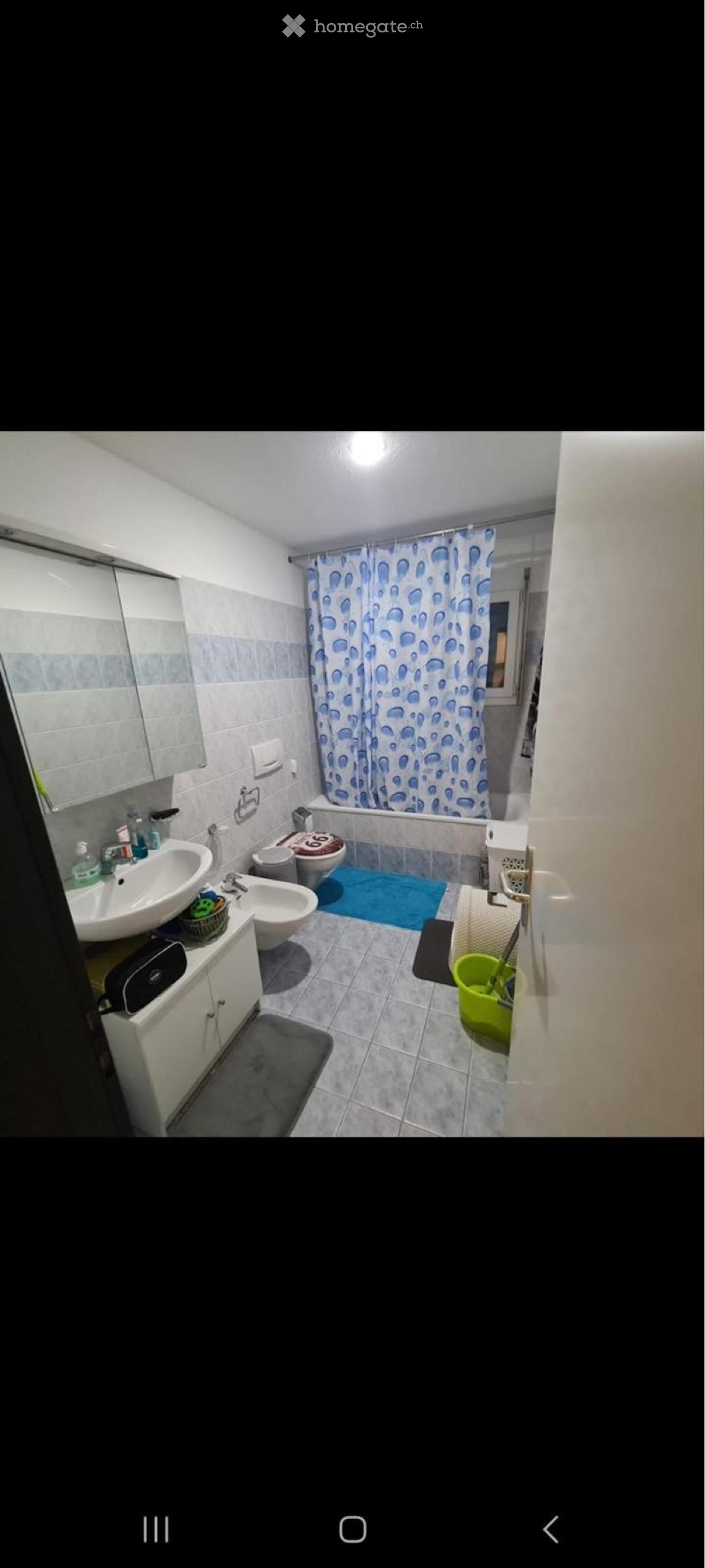 Appartamento 2.5 locali MONTE CARASSO