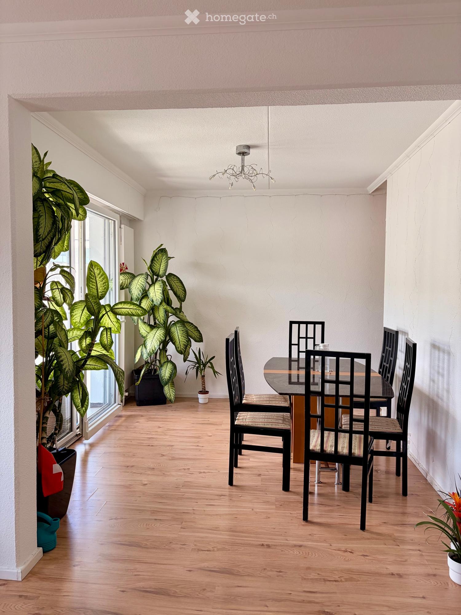 Spazioso appartamento di 4,5 locali con balcone