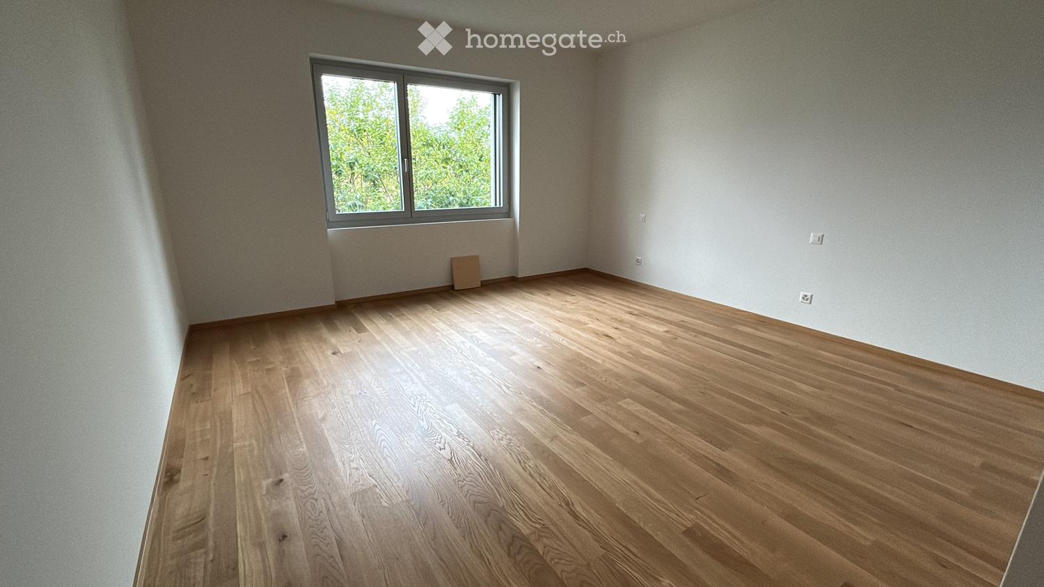 Appartamento prima locazione con vista lago a Massagno